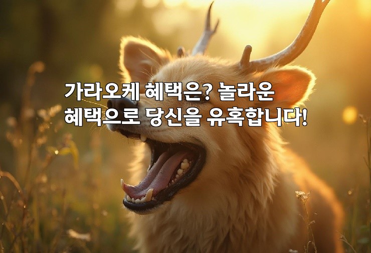 가라오케 혜택은? 놀라운 혜택으로 당신을 유혹합니다!