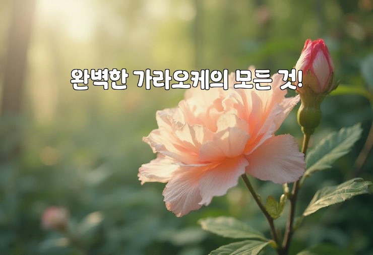 완벽한 가라오케의 모든 것!